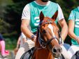 Luca BRambilla