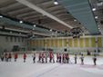 i saluti finali tra le squadre al termine della partita