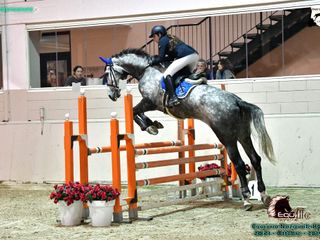 Irys Marinella Rini Cirelli in sella a Shanga