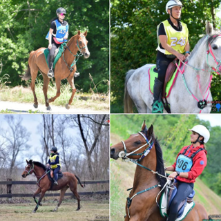 Gala dei Cavalieri e Amazzoni il 5 maggio a Nus