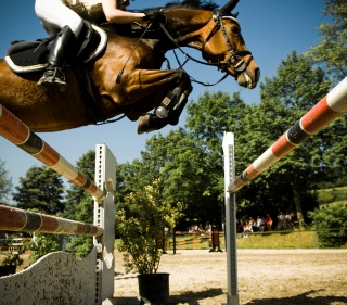 Fisdir immagine di repertorio