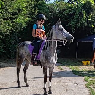 Endurance: bel podio per Gaia Commod a Serravalle a Po