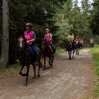 Immagine di repertorio