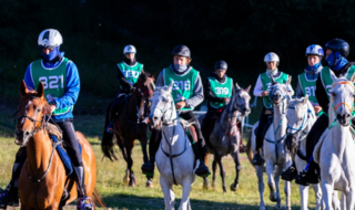 Torgnon Chevaux 2025: Jumping Torgnon, al via 4 week end di grande equitazione