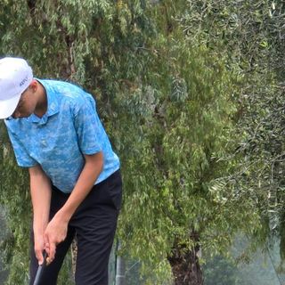 Federico Muzi Falconi