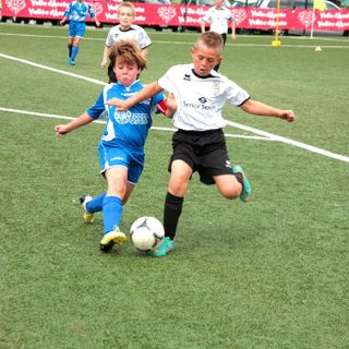 foto repertorio