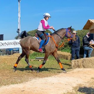 Equitazione: Endurance; in Puglia Martina Pisano conquista un entusiasmante secondo posto