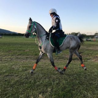 Equitazione: Ottimo risultato delle sorelle Pisano ad Arezzo