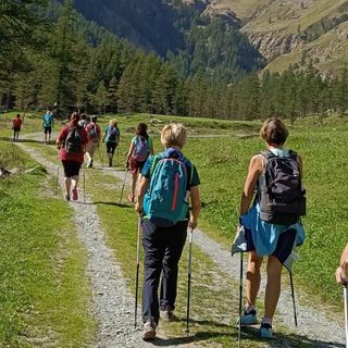 Scoprire il nordic walking, il benessere del camminare con i bastoncini