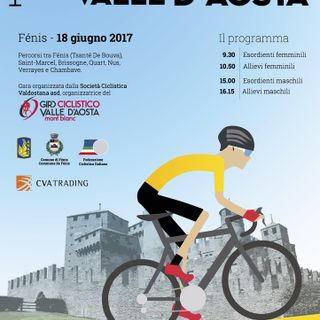 La locandina della scorsa edizione della Young Cup