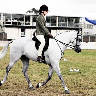 FISE VDA, Gran Galà a Sarre con le premiazioni agli atleti del mondo equestre