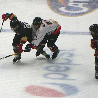 Hockey ghiaccio: Gli impegni dell'HC Gladiators