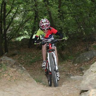 Sylvie Truc (repertorio)