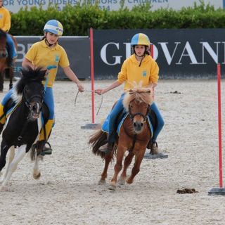 Equitazione: La Valle d'Aosta torna alle Ponyadi