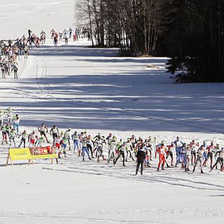 Sport invernali: Comitato Asiva a Roma per sostenere l'ambiente