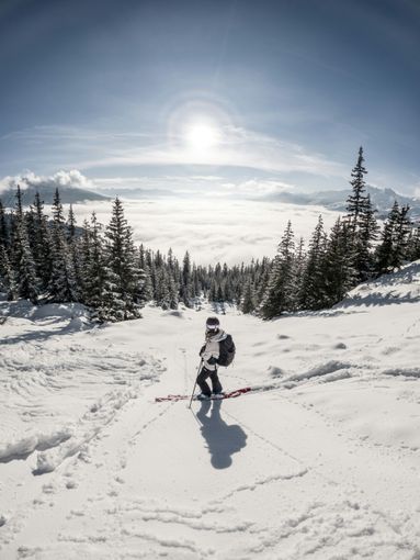 Vita da maestro di sci: come trasformare la passione in una carriera Vita da maestro di sci: come trasformare la passione in una carriera