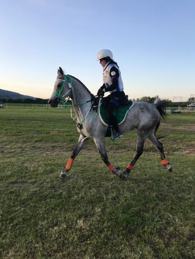 Equitazione: Ottimo risultato delle sorelle Pisano ad Arezzo Equitazione: Ottimo risultato delle sorelle Pisano ad Arezzo