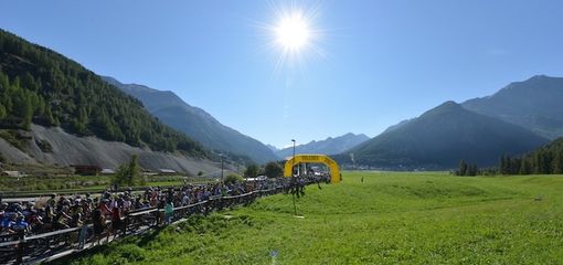 foto tratta dal sito