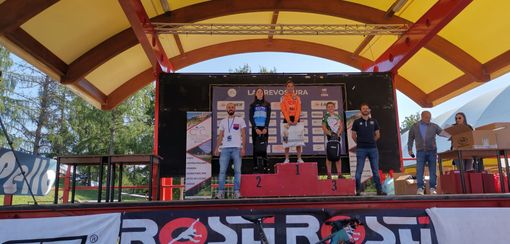 Elisa Giangrasso. Nell'articolo Teseo Bortolotti Barrel