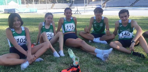 Cadetti Cogn c3 Cadetti Cogn c3