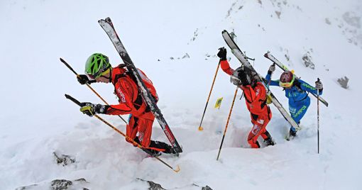 Sport invernali: Le squadre di Fondo, Biathlon, Snow e Skialp per il 2020/2021 Sport invernali: Le squadre di Fondo, Biathlon, Snow e Skialp per il 2020/2021