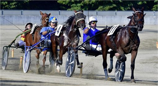 Ippica: Il paradosso delle corse dei cavalli