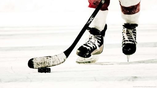 Hockey ghiaccio: Gli imegni dei Gladiators