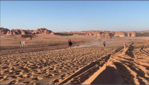 Endurance - Giulia Mantovani chiude al 20° posto la Fursan Cup