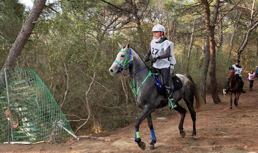 Martina Pisano (repertorio)