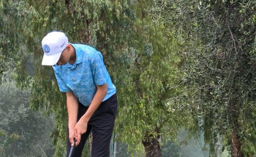 Federico Muzi Falconi Federico Muzi Falconi