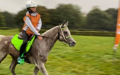 Equitazione: In Olanda per Alessia Lustrissy un bronzo che brilla cone l'oro
