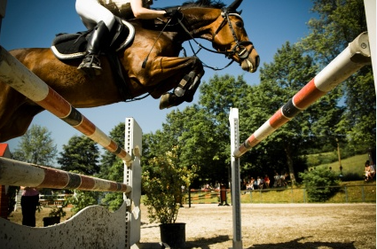 Fisdir immagine di repertorio