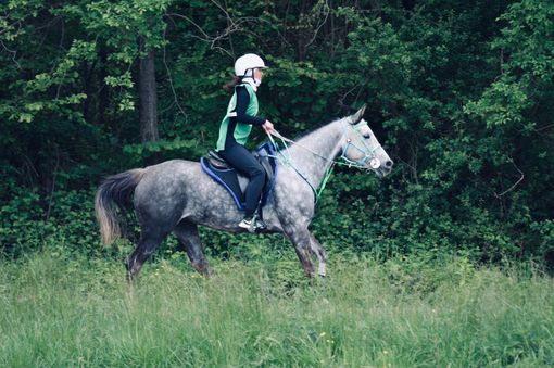 Endurance: Claudia Demarie sul podio con Rasha by Nurachi