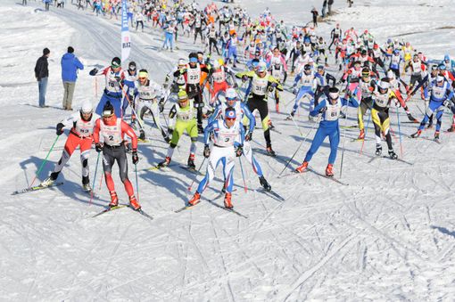 MARCIAGRANPARADISO: Cogne si colora di bianco e si prepara alla Marcia Attesi al via 700 adulti e 400 bambini
