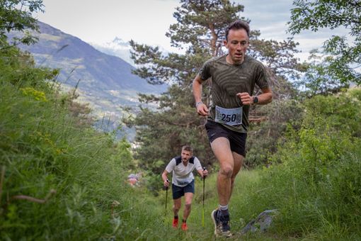 Photo credit Davide Verthui