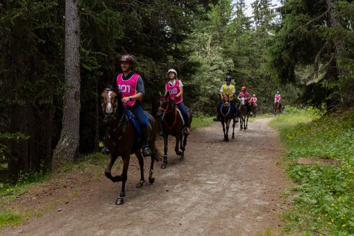 Immagine di repertorio