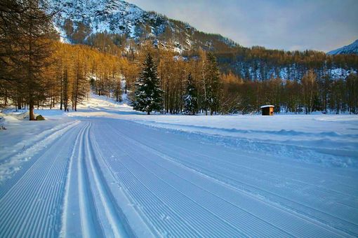 È arrivata la neve, la stagione dello sci di fondo può iniziare: dopo Gressoney, sabato nuove aperture in Valle d’Aosta