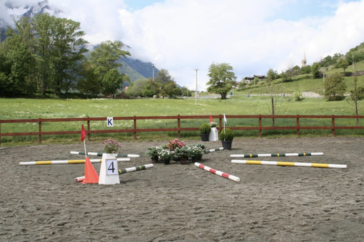 CAMPIONATO INTERREGIONALE FISDIR PIEMONTE VALLE D’AOSTA CAMPIONATO INTERREGIONALE FISDIR PIEMONTE VALLE D’AOSTA