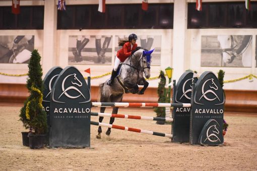 Equitazione: Irys Rini Cirelli chiiude il 2018 con un magnifico sesto posto Equitazione: Irys Rini Cirelli chiiude il 2018 con un magnifico sesto posto