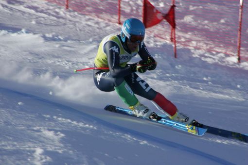 Federico Paini Federico Paini