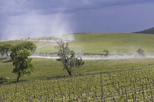Ciclismo: Confermato dal 3 al 25 ottobre Giro d'Italia. Si riparte il primo agosto con Le Strade Bianche