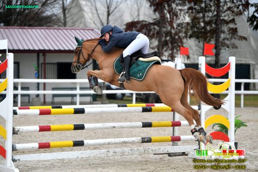 Viola Orillier Viola Orillier