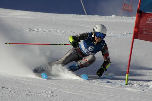 Cecilia Pizzinato