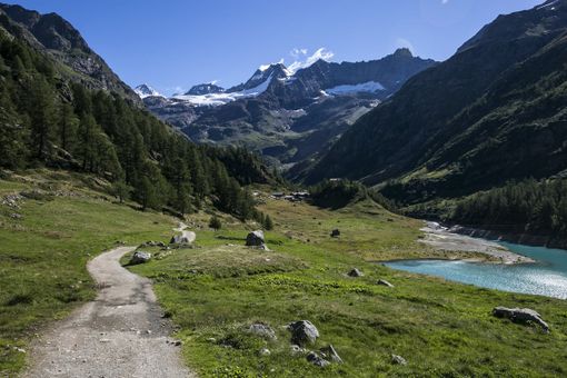 Trail: E' nata e si annuncia spettacolare la Cervino Matterhorn Ultra Race Trail: E' nata e si annuncia spettacolare la Cervino Matterhorn Ultra Race