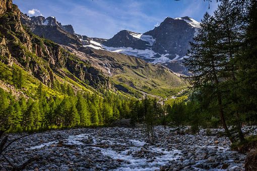 Winter World Triathlon Championships 2025: iniziativa solidale “Doniamo un albero a…” Winter World Triathlon Championships 2025: iniziativa solidale “Doniamo un albero a…”