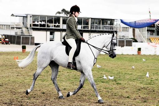 FISE VDA, Gran Galà a Sarre con le premiazioni agli atleti del mondo equestre