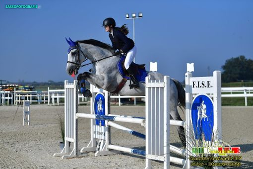 Sara Oddone Sara Oddone