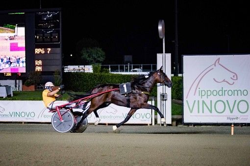 Ippica: Una grande domenica all'ippodromo di Vinovo Ippica: Una grande domenica all'ippodromo di Vinovo
