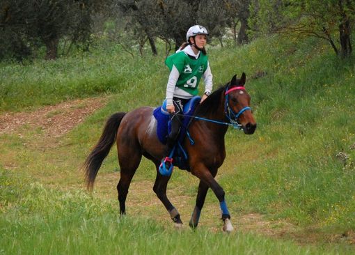 Equitazione: Brusson riabbraccia l'Endurance con un grande successo