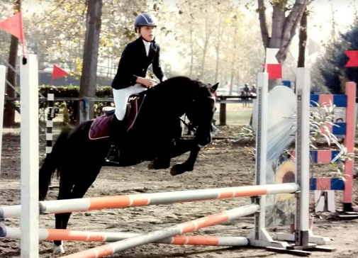 Equitazione: Piazzamenti di tutto rispetto per i valdostani al concorso nazionale